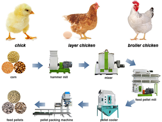 OEM 3mm To 3.5mm Cattle Feed Plant Machinery 2-5 Ton Per Hour